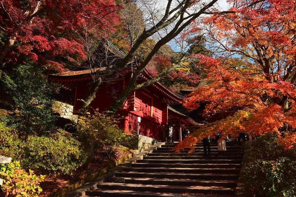 Tanzan Shrine-places to take photos in Japan