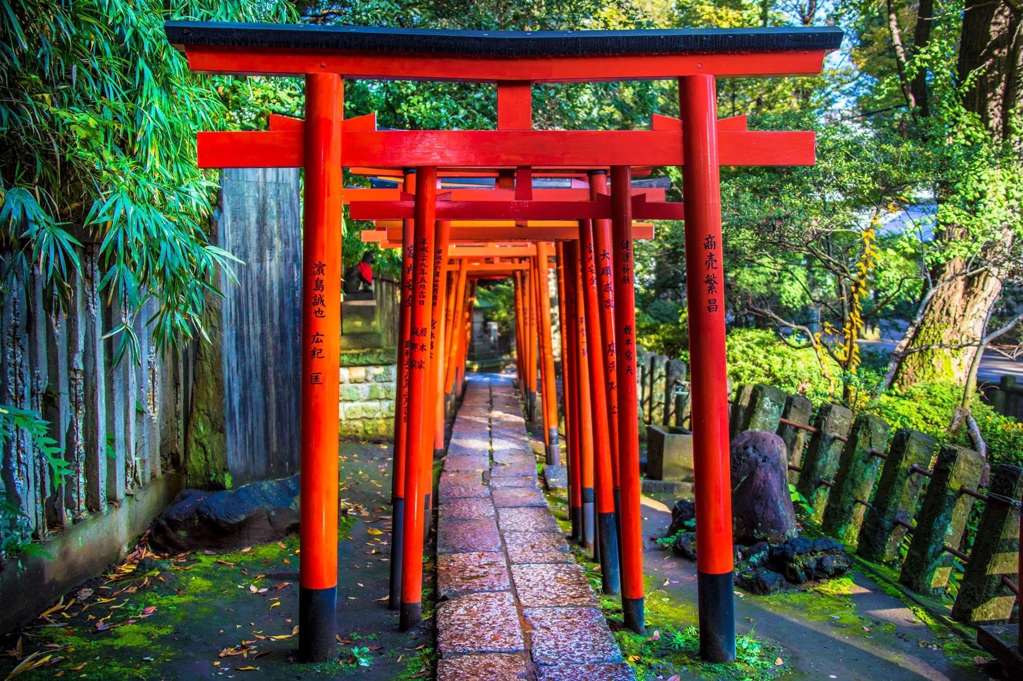 Nezu Shrine-places to take photos in Japan 