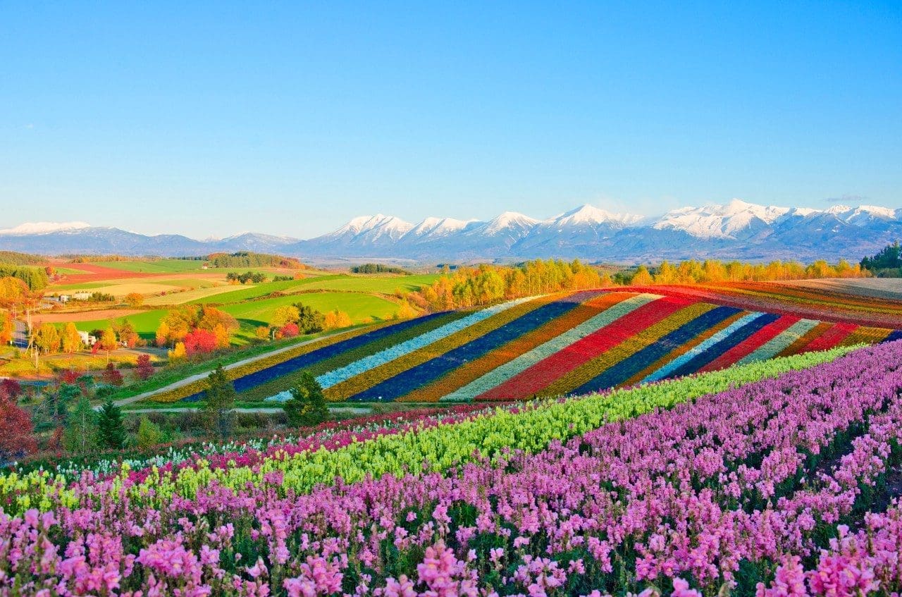 Furano, Hokkaido